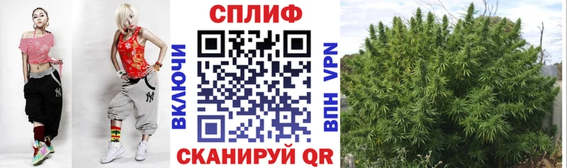 ссылка на мегу вход  Старая Купавна  Канабис планчик 